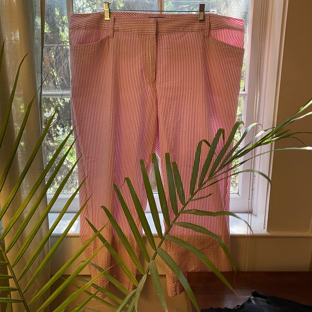 Pinstripe Lands’ End Capris